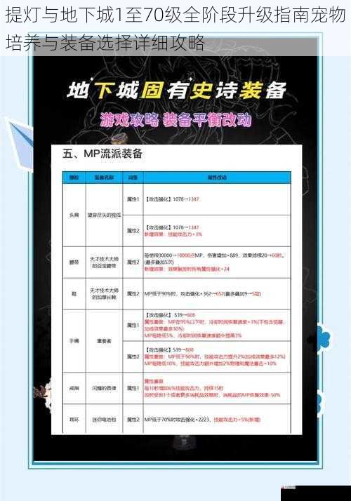 提灯与地下城1至70级全阶段升级指南宠物培养与装备选择详细攻略