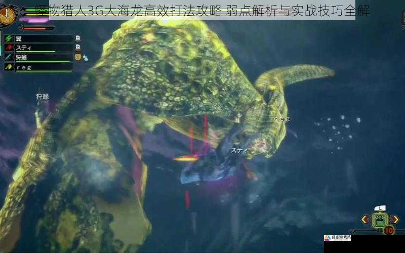 怪物猎人3G大海龙高效打法攻略 弱点解析与实战技巧全解