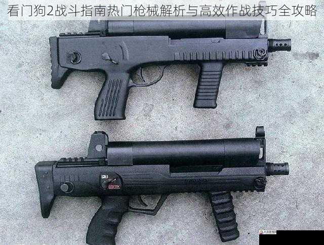 看门狗2战斗指南热门枪械解析与高效作战技巧全攻略