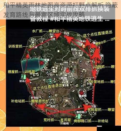 和平精英雨林地图高资源打野点解析 隐蔽发育路线与最富区域实战攻略