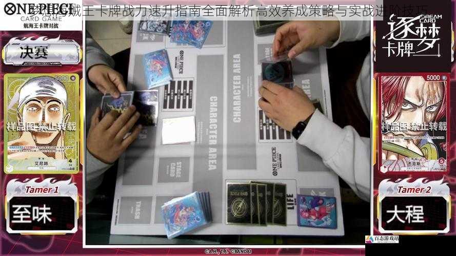 梦想海贼王卡牌战力速升指南全面解析高效养成策略与实战进阶技巧