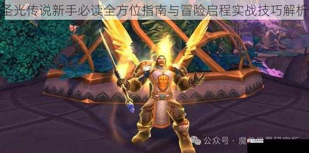 圣光传说新手必读全方位指南与冒险启程实战技巧解析