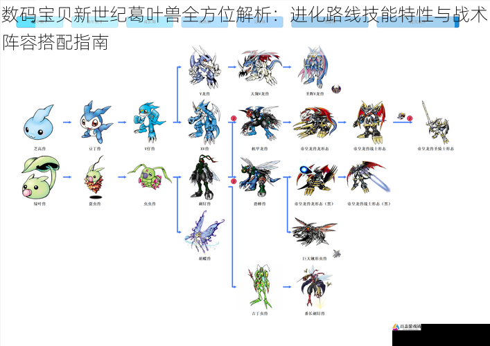 数码宝贝新世纪葛叶兽全方位解析：进化路线技能特性与战术阵容搭配指南