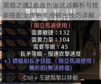黑暗之魂2巅峰伤害武器解析与技能搭配全攻略实战输出技巧详解
