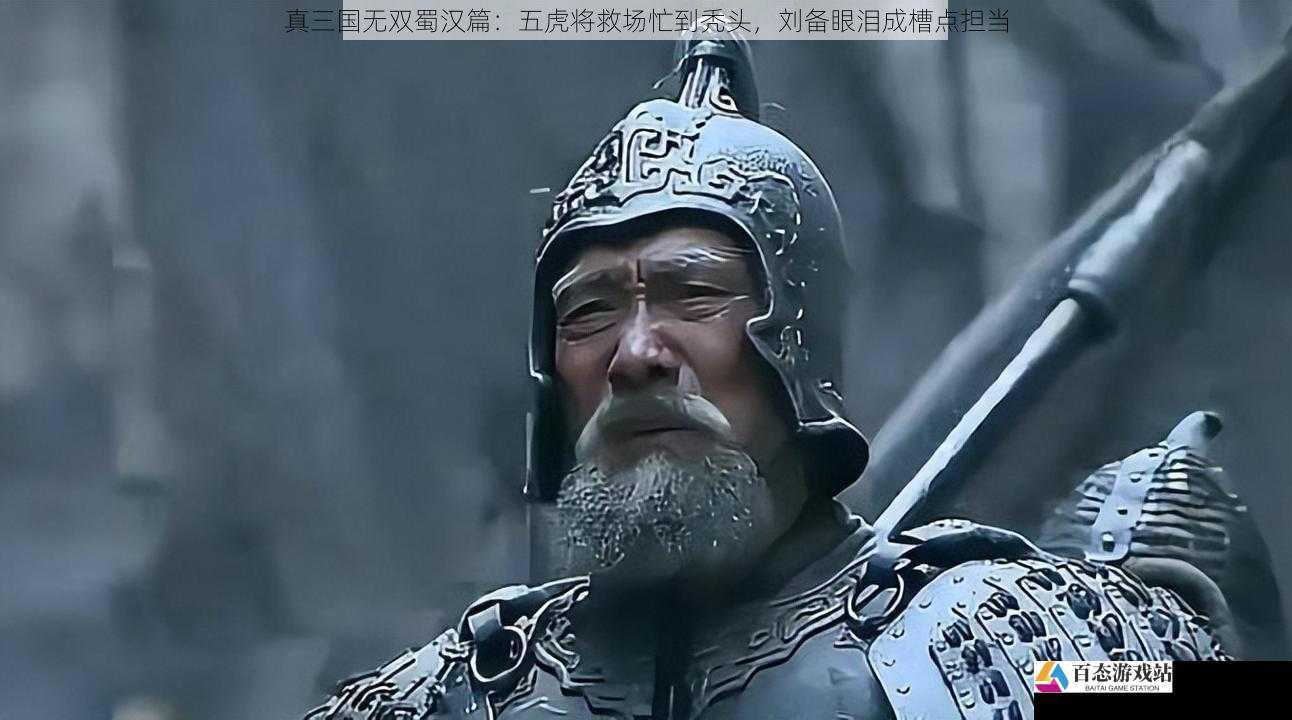 真三国无双蜀汉篇：五虎将救场忙到秃头，刘备眼泪成槽点担当