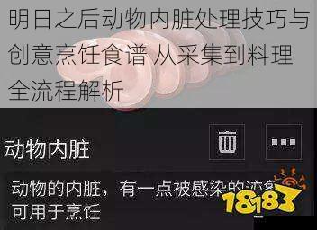 明日之后动物内脏处理技巧与创意烹饪食谱 从采集到料理全流程解析