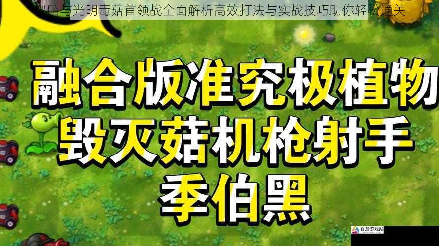 黑暗与光明毒菇首领战全面解析高效打法与实战技巧助你轻松通关