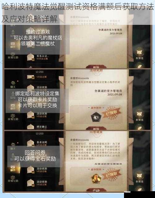 哈利波特魔法觉醒测试资格满额后获取方法及应对策略详解