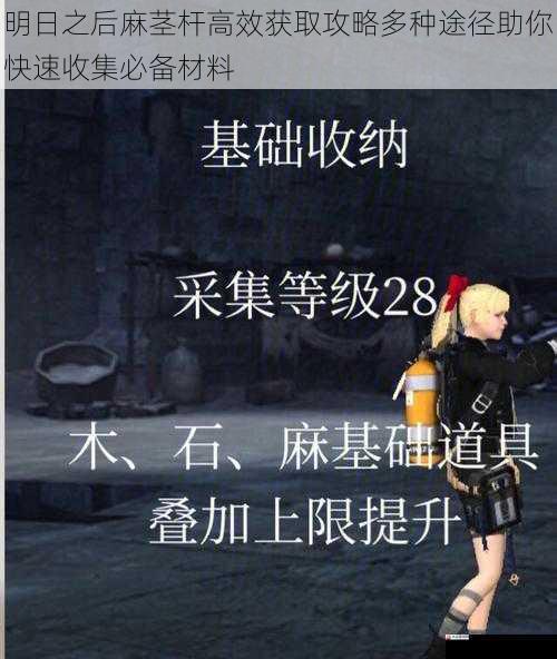 明日之后麻茎杆高效获取攻略多种途径助你快速收集必备材料