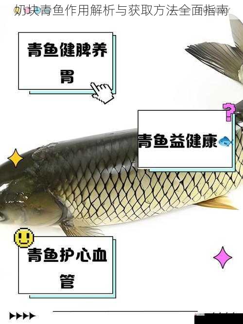 奶块青鱼作用解析与获取方法全面指南