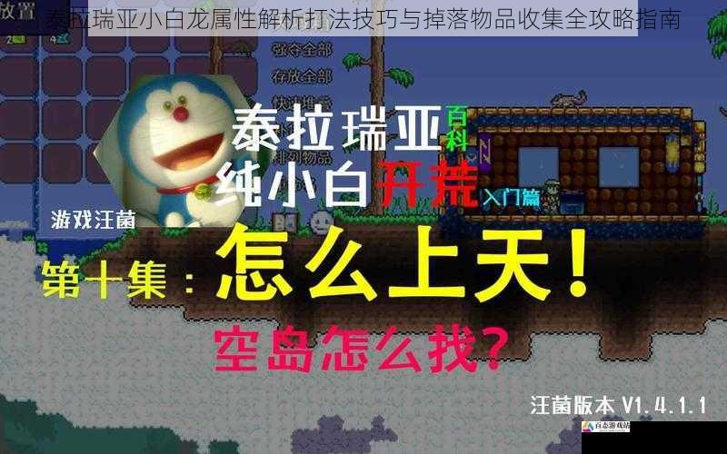 泰拉瑞亚小白龙属性解析打法技巧与掉落物品收集全攻略指南