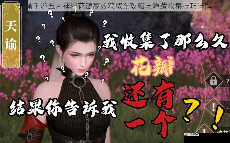 天谕手游五片神秘花瓣高效获取全攻略与隐藏收集技巧详解