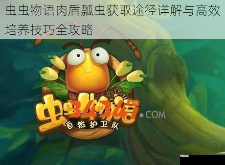 虫虫物语肉盾瓢虫获取途径详解与高效培养技巧全攻略
