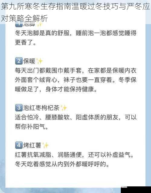 第九所寒冬生存指南温暖过冬技巧与严冬应对策略全解析